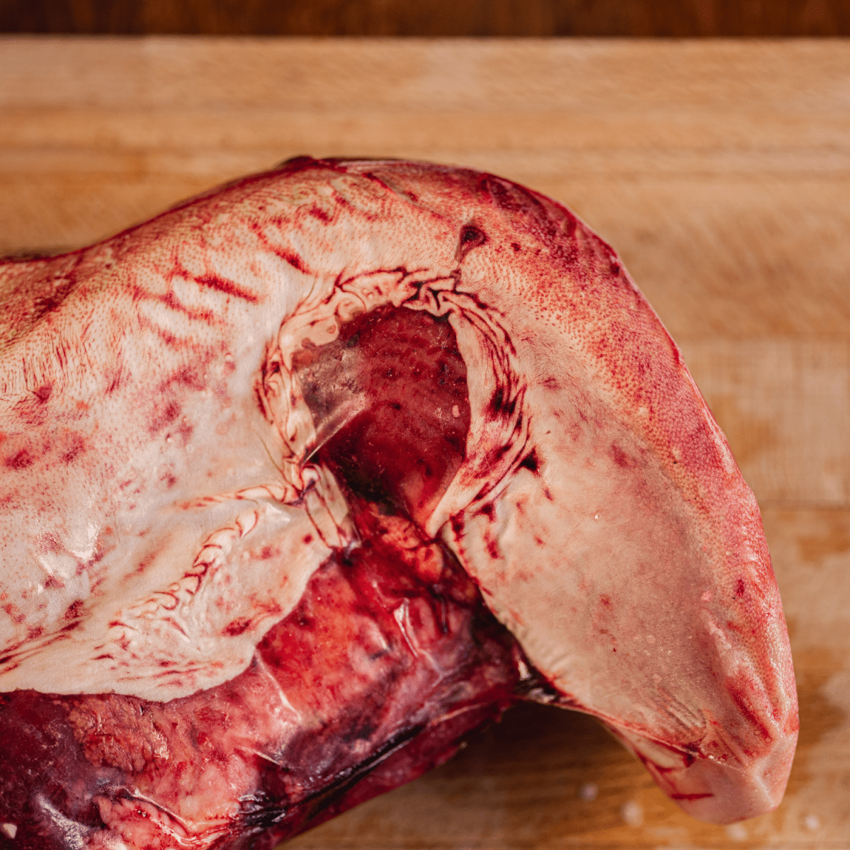 La Langue 1,7kg - Féroce