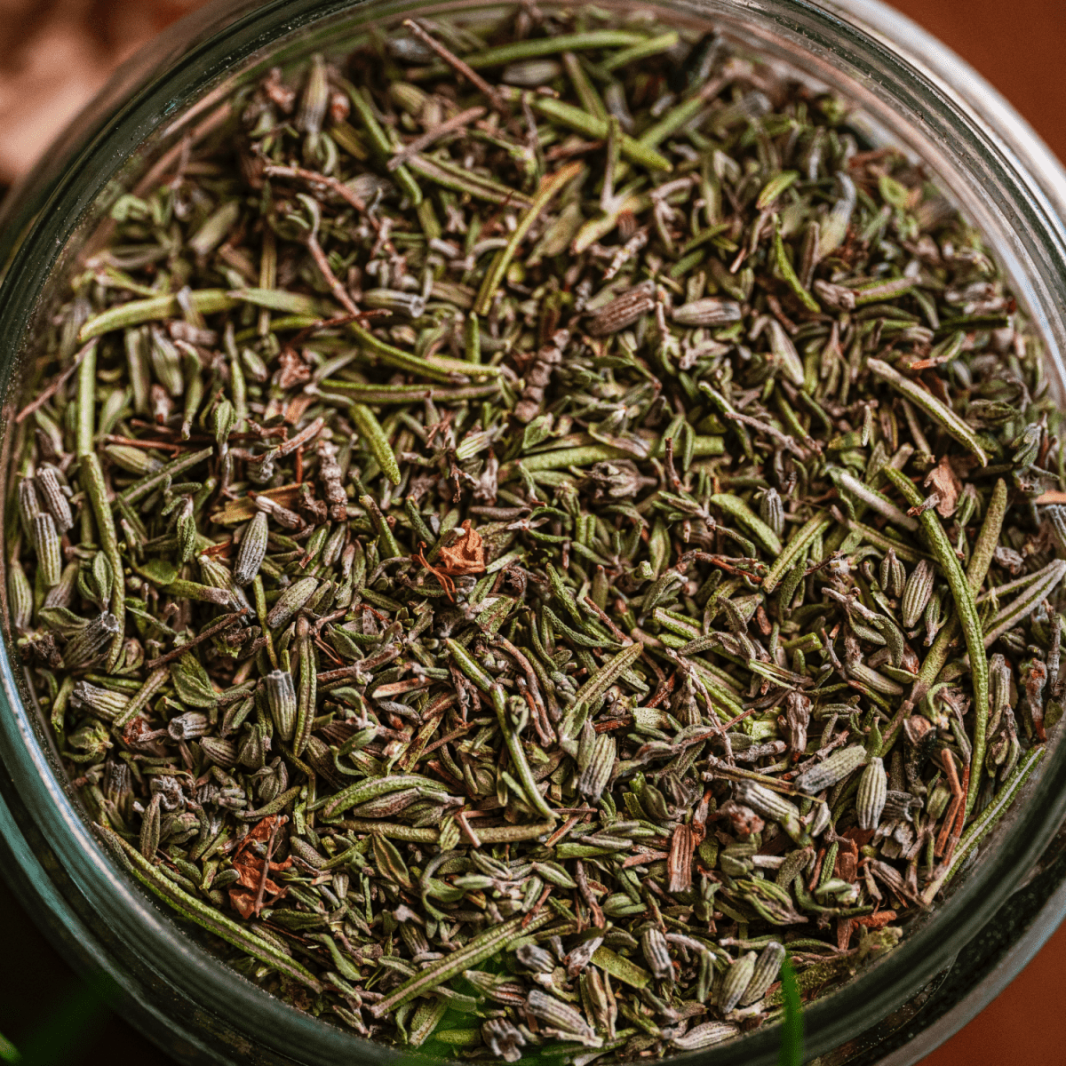 Les Herbes Sauvages - Garrigues - Féroce
